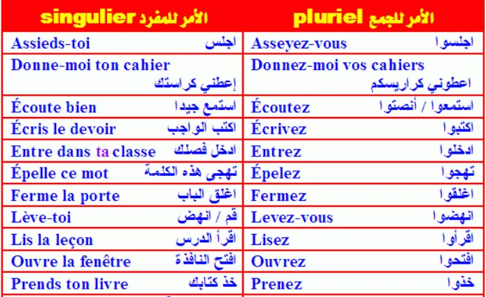 تحميل كتاب تعلم اللغة الفرنسية للمبتدئين PDF مجانا